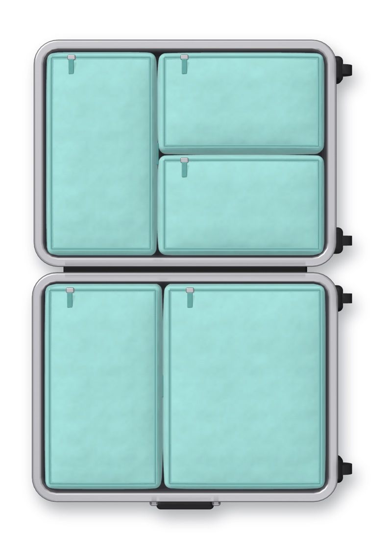 PackCheck suitcase